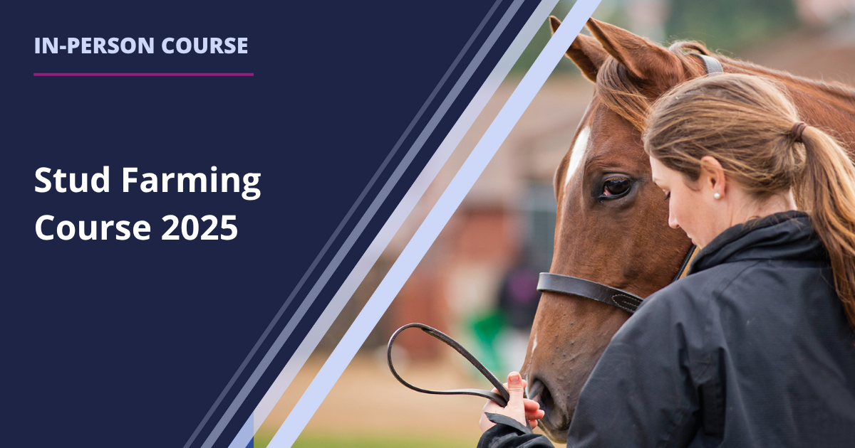 Stud Farming Course 2025