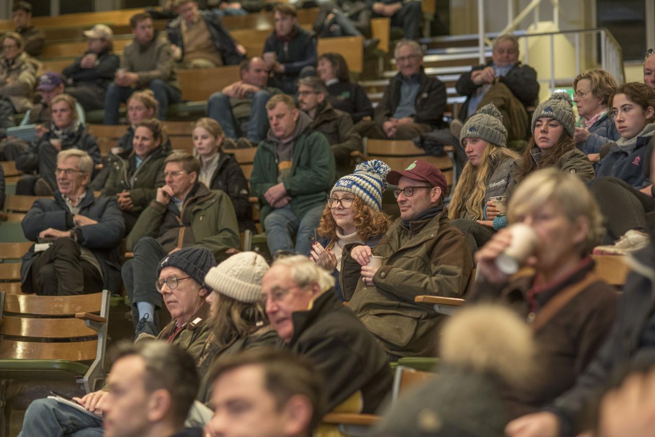 An audience assembled in the sales ring.