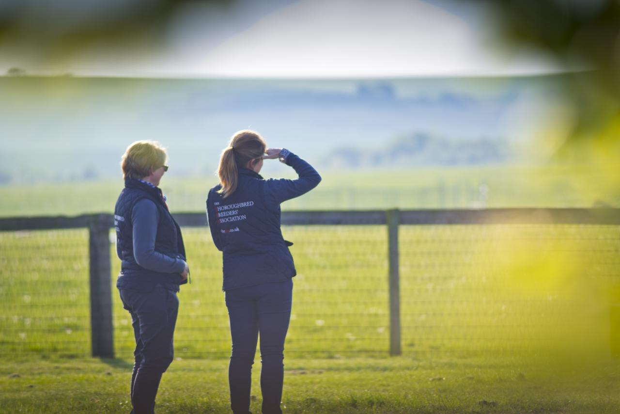 Two stud employees look over a paddock fence.