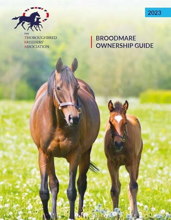 Broodmare Ownership Guide