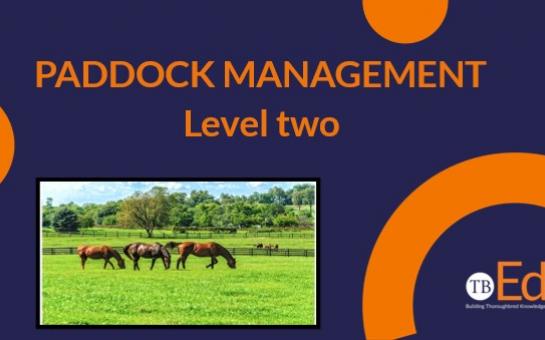 Paddock Management - Level Two