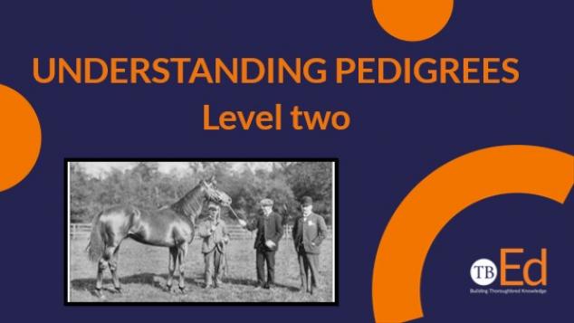 Understanding Pedigrees