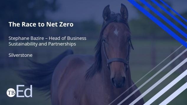 The Race to Net Zero