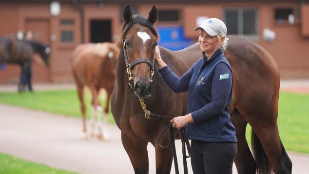 A handler pats a horse at the sales