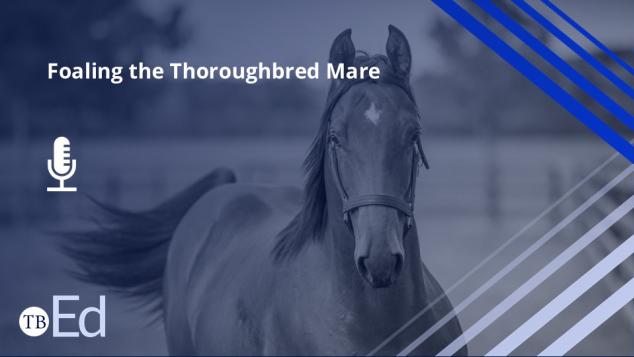 Foaling the Thoroughbred Mare