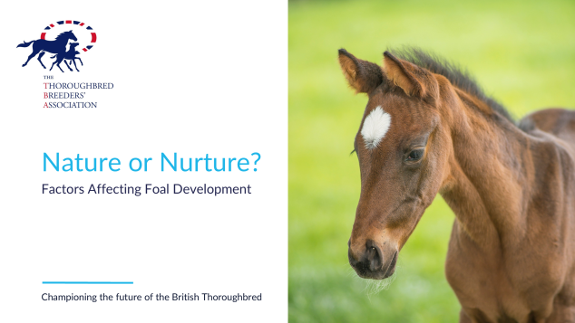 Nature or Nurture?