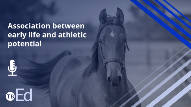 Podcast: Associations between early life experiences and athletic potential