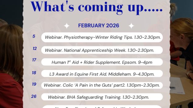 RSDP February webinar list