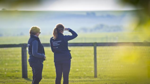Two stud employees look over a paddock fence.