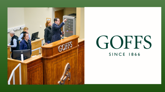 Goffs UK sales ring