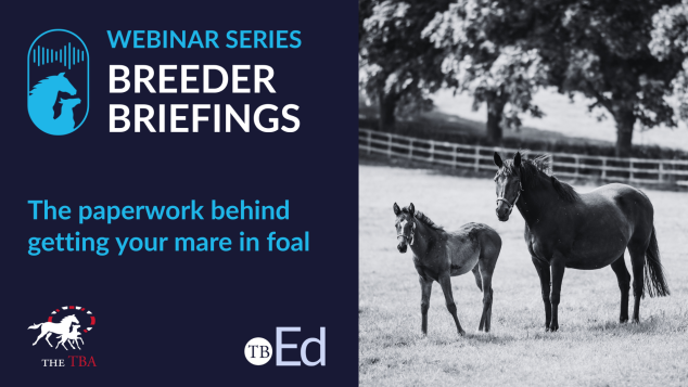 Breeder Briefings: Paperwork behind getting your mare in foal