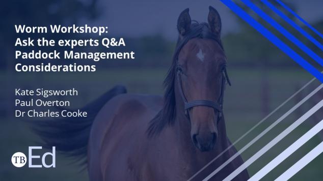 Video title Worm Workshop Q&A Ask the Experts Paddock Considerations and a thoroughbred horse